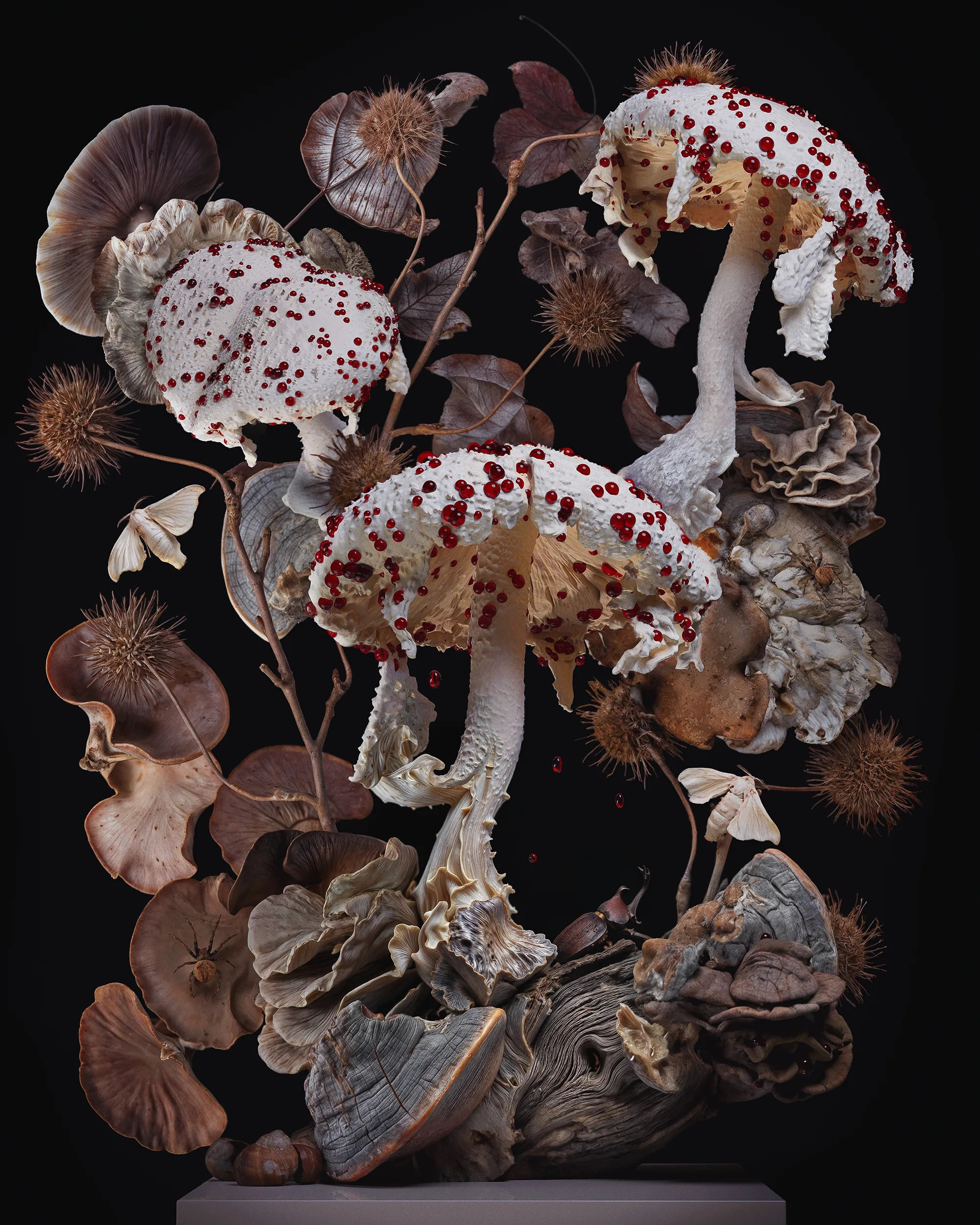 Digital Still Life